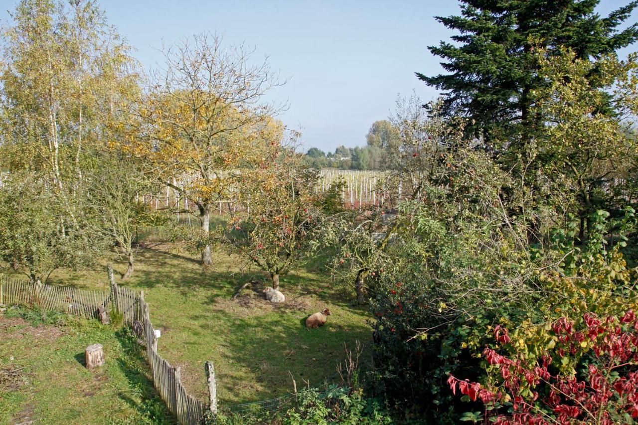 Hof Van Loverrijk Bed & Breakfast Лиер Екстериор снимка